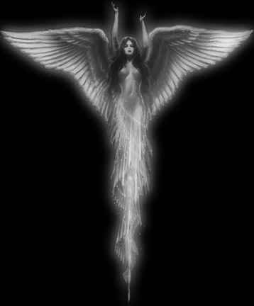 angel.jpg
